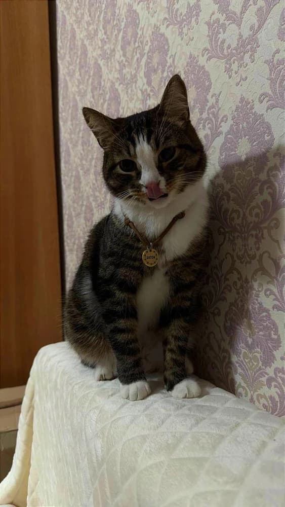 Фото из отзыва: Диана