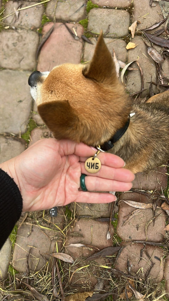 Фото из отзыва: Дарья