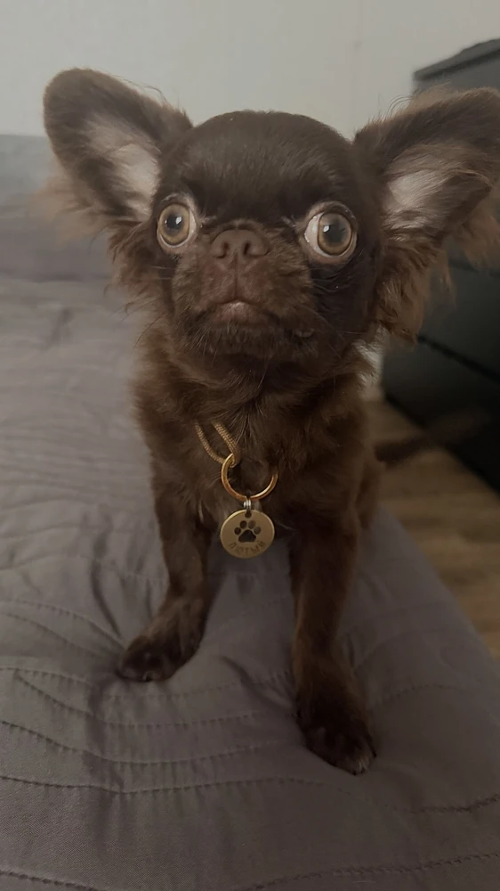 Фото из отзыва: Елена