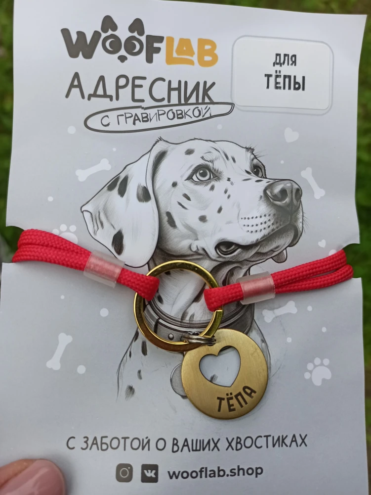 Фото из отзыва: Евгения