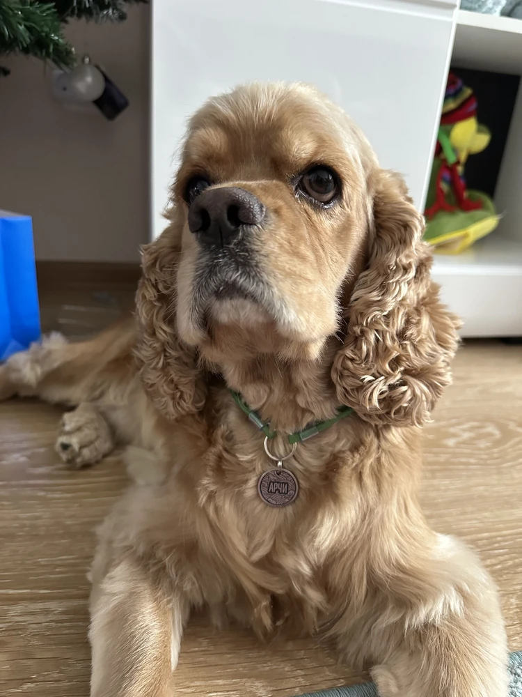 Фото из отзыва: Алексей