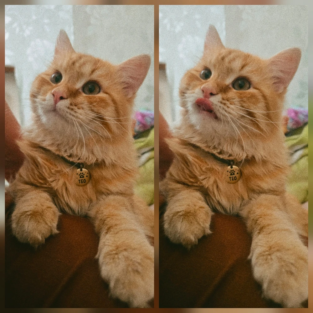 Фото из отзыва: Ульяна