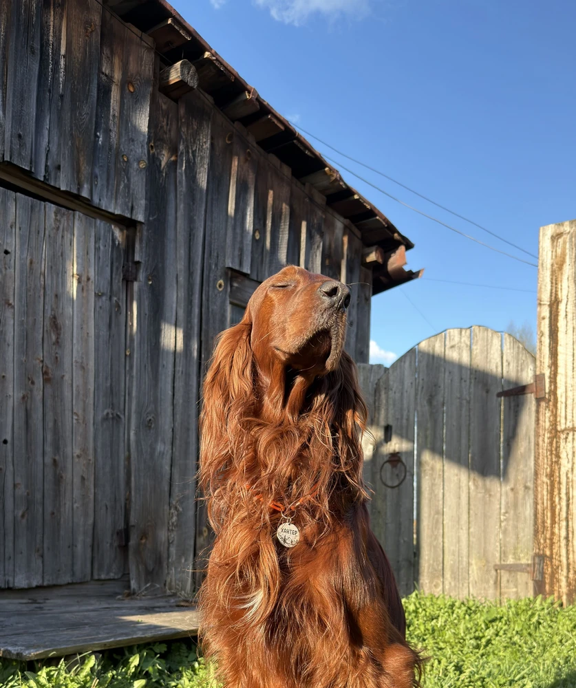 Фото из отзыва: Вера