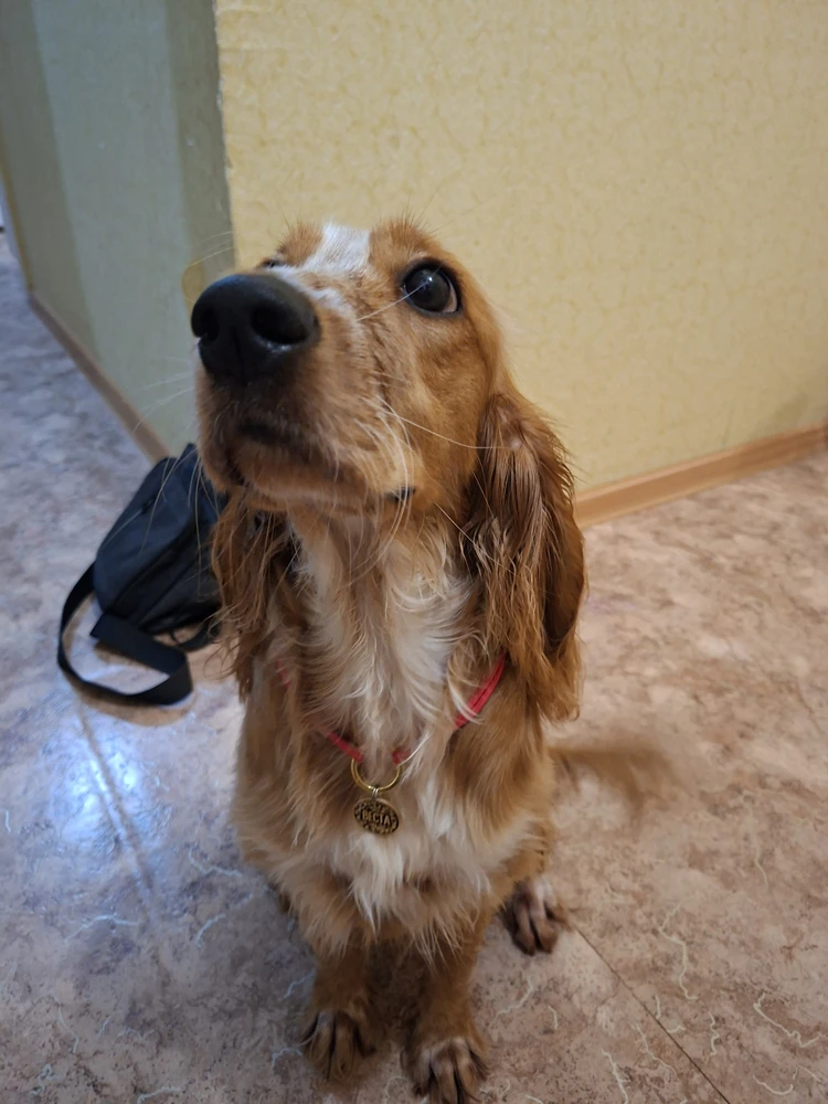 Фото из отзыва: Екатерина