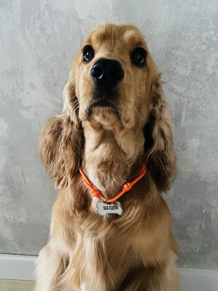 Фото из отзыва: Оливия