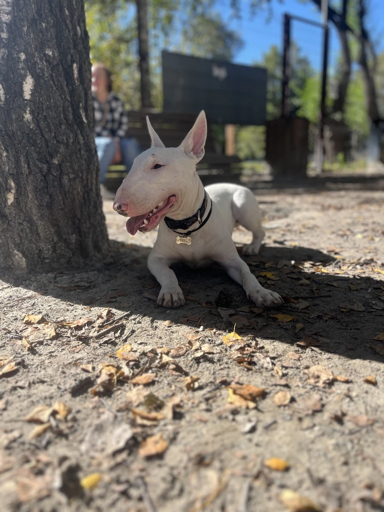 Фото из отзыва: Ольга
