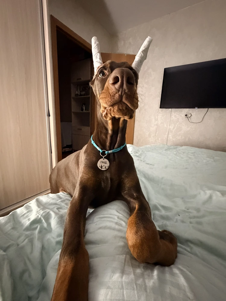 Фото из отзыва: Татьяна